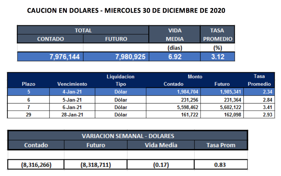 Cauciones bursátiles en dólares al 30 de diciembre 2020