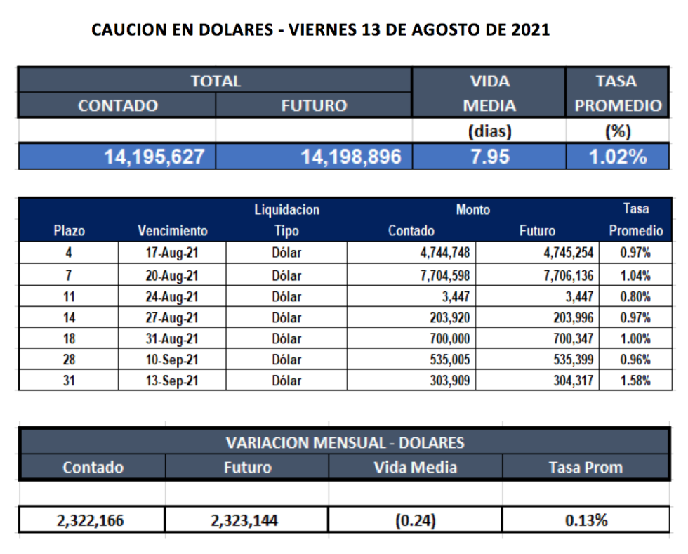 Cauciones burátiles en dólares al 13 de agosto 2021