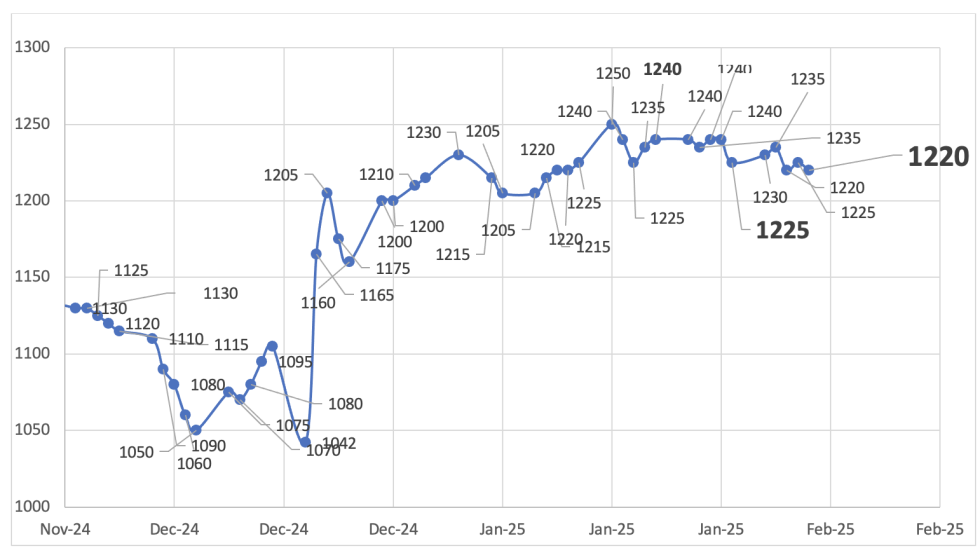 Evolución de las cotizaciones del dólar al 31 de enero 2025