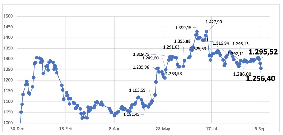 Evolución de las cotizaciones del dólar al 6 de septiembre 2024