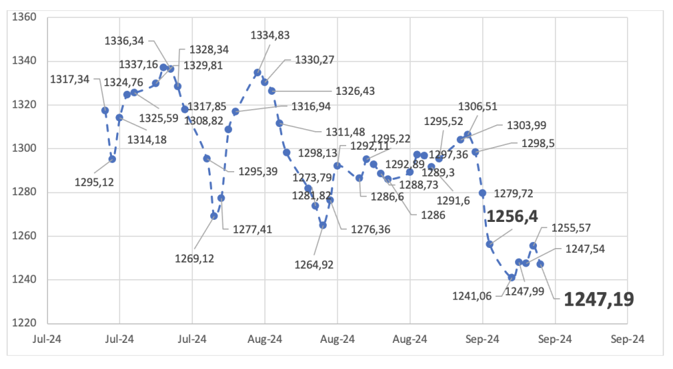 Evolución de las cotizaciones del dólar al 13 de septiembre 2024