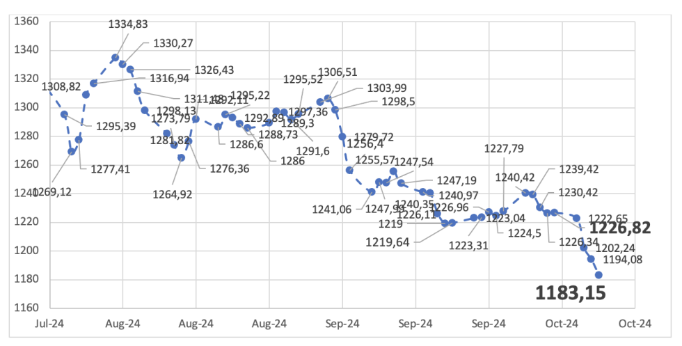 Evolución de las cotizaciones del dólar al 11 de octubre 2024