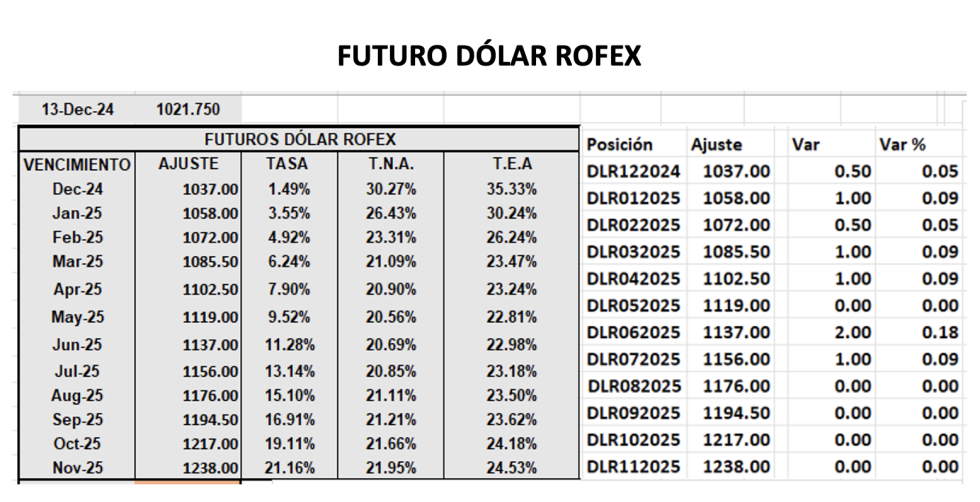 Evolución de las cotizaciones del dólar al 13 de diciembre 2024