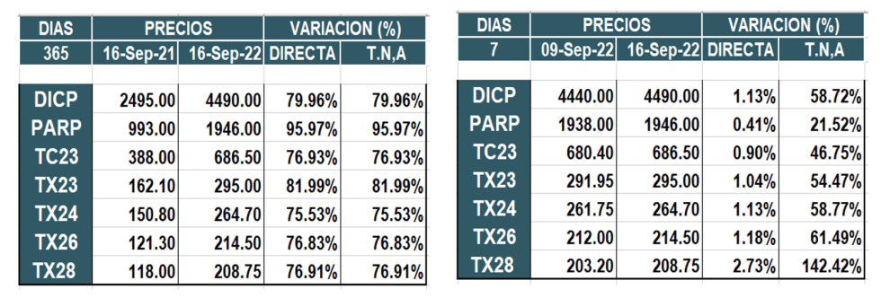 Bonos argentinos en pesos al 16 de septiembre 2022