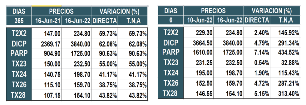 Bonos argentinos en pesos al 16 de junio 2022