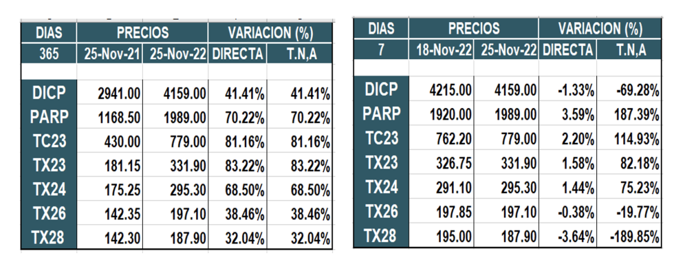 Bonos argentinos en pesos al 25 de noviembre 2022