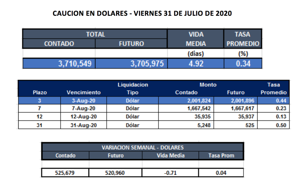 Cauciones bursátiles en dólares al 31 de julio 2020