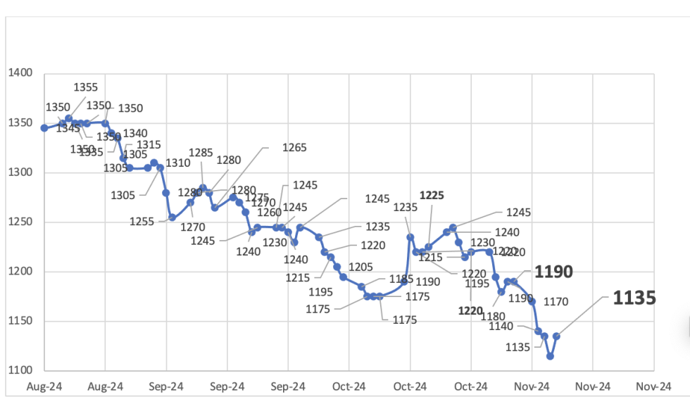 Evolución de las cotizaciones del dólar al 8 de noviembre 2024