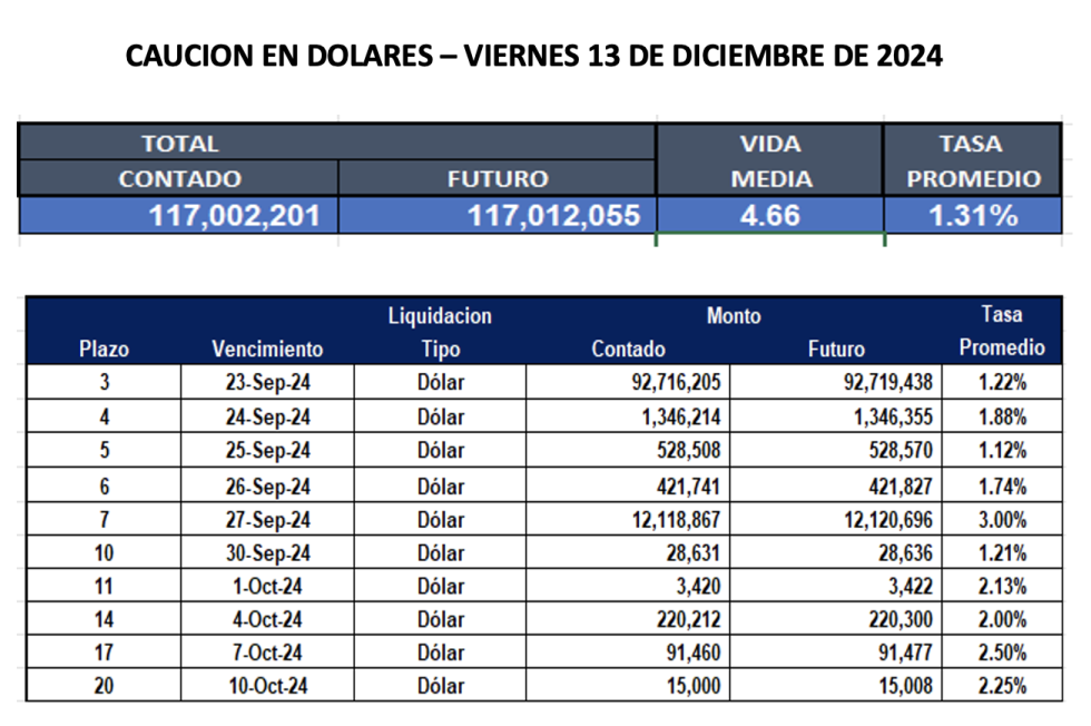 Cauciones bursátiles en dólares al 13 de diciembre 2024