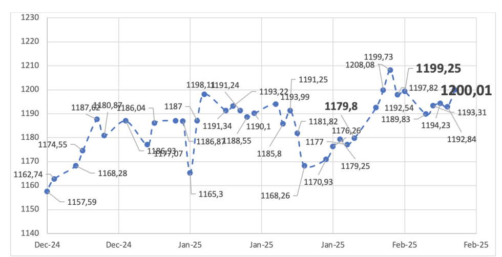 Evolución de las cotizaciones del dólar al 14 de febrero 2025