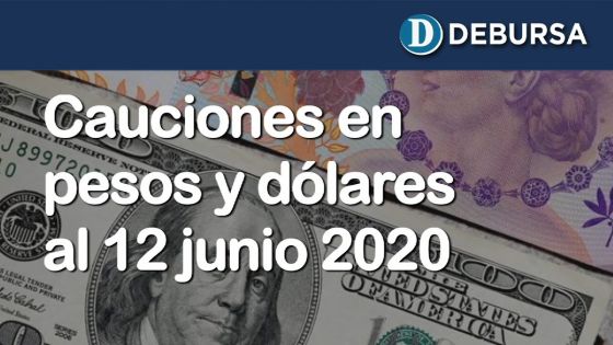 Cauciones bursátiles en pesos y dólares al 12 de junio 2020