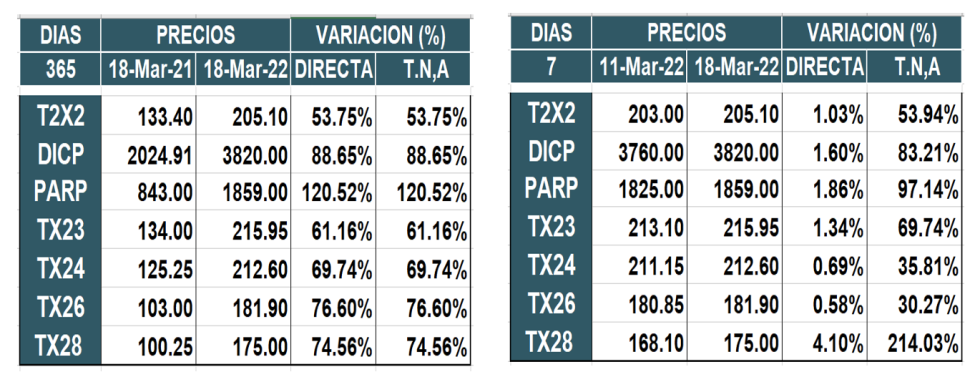 Bonos argentinos en pesos al 18 de marzo 2022