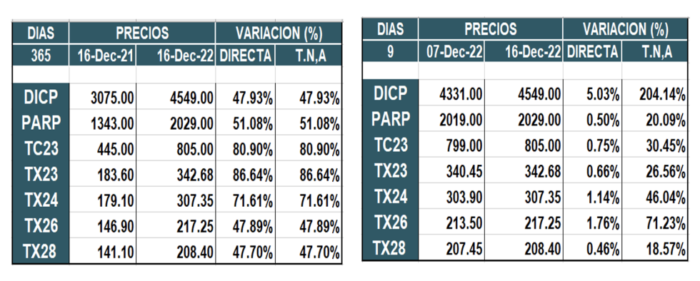 Bonos argentinos en pesos al 16 de diciembre 2022