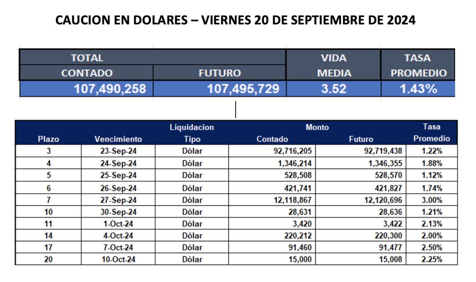 Cauciones bursátiles en dólares al 20 de septiembre 2024