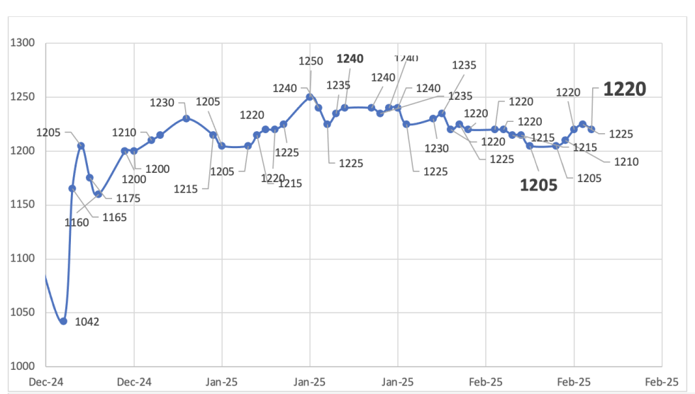 Evolución de las cotizaciones del dólar al 14 de febrero 2025