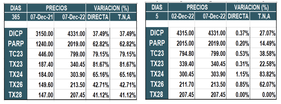 Bonos argentinos en pesos al 7 de diciembre 2022