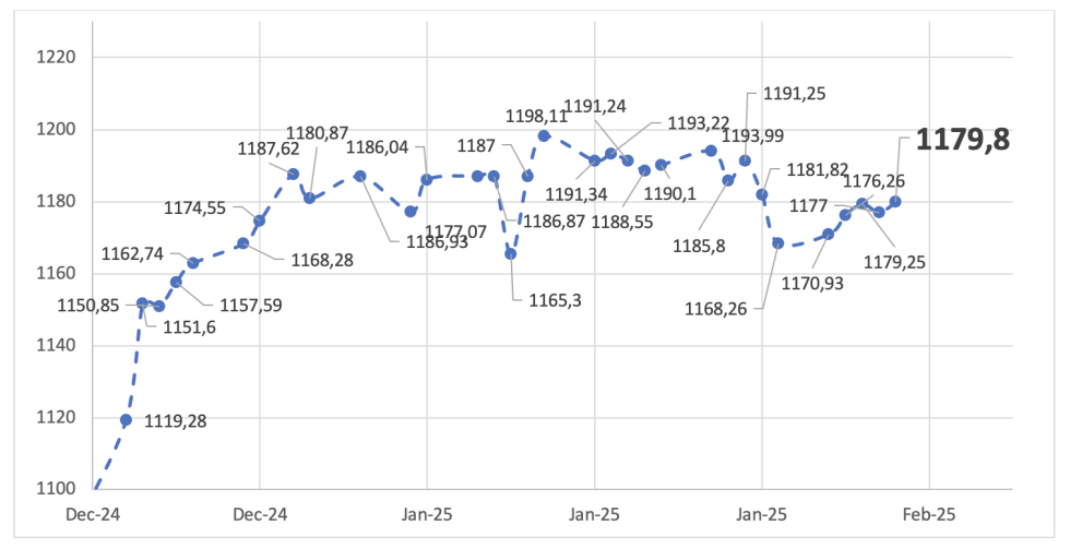 Evolución de las cotizaciones del dólar al 31 de enero 2025