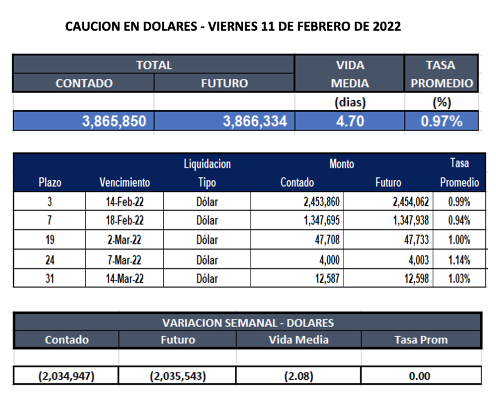 Cauciones bursátiles en dólares al 11 de febrero 2022