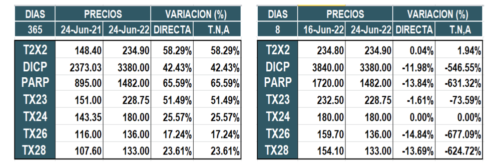 Bonos argentinos en pesos al 24 de junio 2022