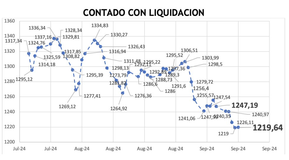 Evolución de las cotizaciones del dólar al 20 de septiembre 2024